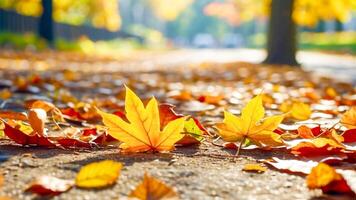 ai generato bellissimo astratto autunno le foglie colorato le foglie nel il parco, autunno foglie, natura sfondo foto