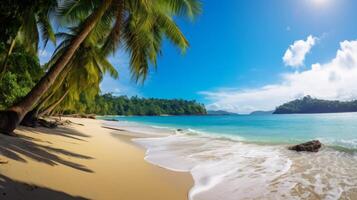 ai generato tropicale spiaggia con palma alberi e turchese mare e leggero e ombre foto