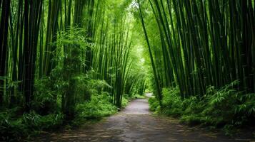 ai generato un' verde bambù foresta con luce del sole e ombre foto