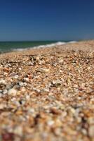 sfondo con conchiglia spiaggia di il mare e blu cielo foto