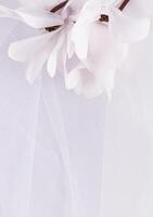 elegante nozze sfondo di bianca classico bridal velo e bianco come la neve primavera fiori. verticale Visualizza. un' copia spazio. invito. cartolina. disposizione. foto