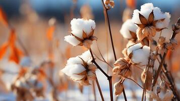 ai generato germoglio pianta coperto di neve su inverno stagione foto