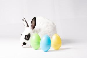 bianca e nero coniglio con colorato Pasqua uova coniglietto foto