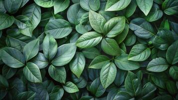 ai generato gruppo di verde le foglie con blu sfondo foto