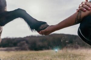 giovane contento donna con sua pony cavallo nel sera tramonto luce. all'aperto fotografia con moda modello ragazza. stile di vita umore. concetto di all'aperto cavalcare, gli sport e ricreazione. foto