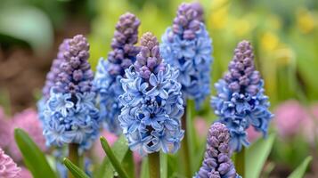 ai generato cestino pieno con viola e blu fiori foto
