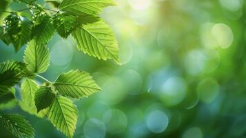 ai generato vicino su di un' verde frondoso albero foto