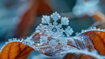 ai generato fiocco di neve atterraggio su un' foglia, fusione in intricato brina modelli foto