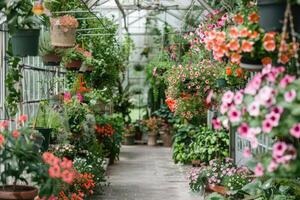 ai generato fiori e in vaso impianti nel un' serra. foto