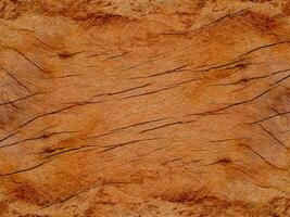 struttura di eucalipto legna sfondo. foto