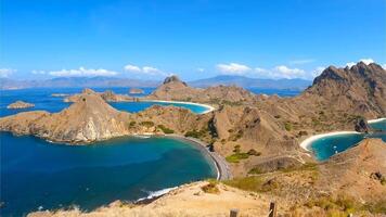 fiori, Indonesia, 2024 - scoprire il meraviglie di komodo isola foto