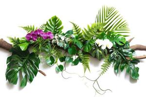 ai generato floreale preparativi con tropicale le foglie e orchidee. tropicale fiore arredamento su albero ramo su bianca sfondo. foto