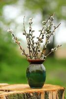 avvicinamento di primavera figa salice amenti rami ramoscelli mazzo nel un' verde vaso all'aperto foto