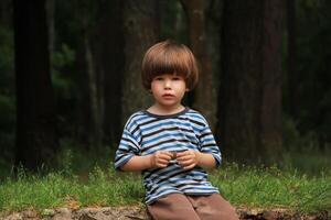 caucasico ragazzo nel a strisce t camicia seduta nel il legna e giocando con un' cono. natura, estate, guardare a il telecamera foto