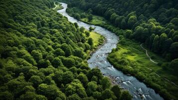 ai generato un' serpeggiante fiume nel un' verde foresta un' tranquillo, calmo e rilassante scena foto