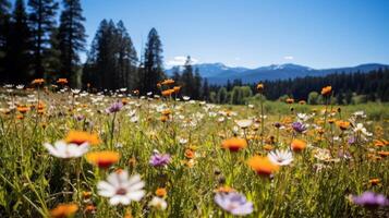 ai generato fiori selvatici nel pieno fioritura, la creazione di un' sbalorditivo scena foto