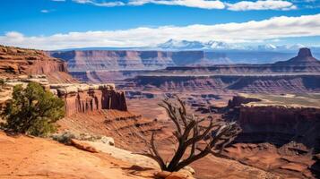 ai generato un' spettacolare Visualizza di un' canyon con hoodoos e butte nel il davanti e montagne nel il indietro foto