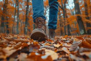 ai generato turista passeggiate nel il autunno foresta, piedi avvicinamento foto