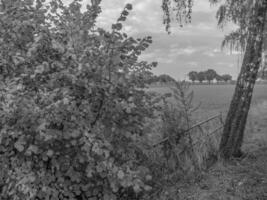 il Tedesco Münsterland foto