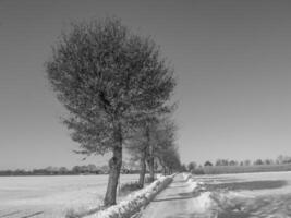 il Tedesco Münsterland foto