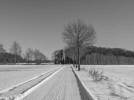 il Tedesco Münsterland foto