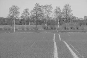 weseke nel westfalia foto