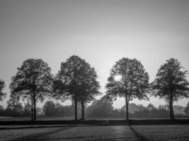 weseke nel westfalia foto