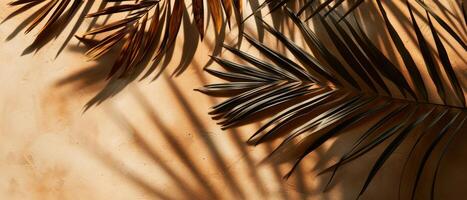 ai generato il interazione di leggero e ombra a partire dal tropicale palma le foglie crea un artistico modello su un' caldo, strutturato parete foto