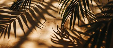 ai generato il interazione di leggero e ombra a partire dal tropicale palma le foglie crea un artistico modello su un' caldo, strutturato parete foto