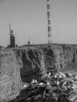 l'isola di Helgoland foto