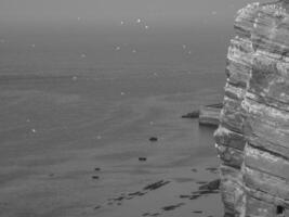 l'isola di Helgoland foto