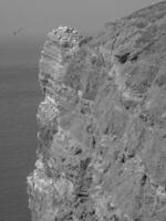 l'isola di Helgoland foto