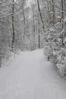 inverno tempo nel westfalia foto