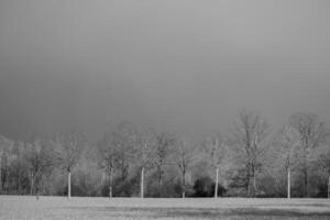 primavera tempo nel westfalia foto