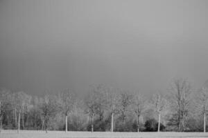 primavera tempo nel westfalia foto