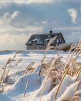 ai generato inverno paesaggio a tramonto con erba e Casa nel sfondo foto