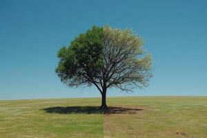 ai generato clima modificare urto su Di Più e peggio ambiente professionale fotografia foto