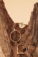 elegante oro anelli su di legno ramo al di sopra di beige sfondo. gioielleria moda fotografia concetto foto