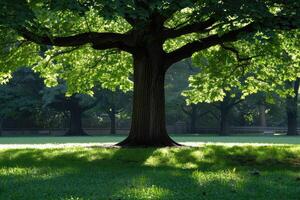 ai generato bellissimo paesaggio scenario natura professionale fotografia foto