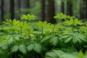 ai generato luminosa primavera verdura natura professionale fotografia foto