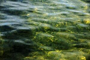 sfondo di il acqua di lago Traunsee nel il costiero la zona. colorato struttura di pietre sotto acqua. foto