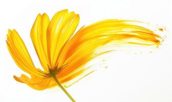 ai generato colorato spazzola ictus modellare un' camomilla petalo, morbido giallo camomilla fiore su bianca sfondo foto