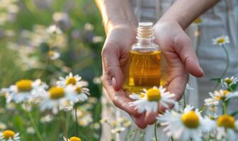 ai generato mani Tenere bottiglia di camomilla essenziale olio, biologico cosmetici, bellezza nel natura, avvicinamento Visualizza foto