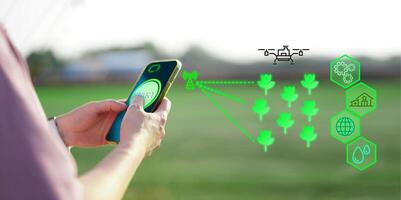smartphone uso controllo inteligente azienda agricola foto