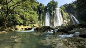 sfondo natura paesaggio cascata nel il giungla con rocce e alberi foto