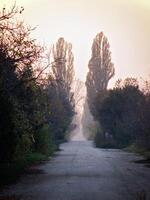 autunno colorato alberi riflettendo nel tranquillo fiume foto