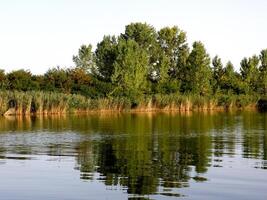 estate colorato alberi riflettendo nel tranquillo calma fiume foto