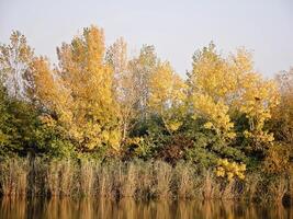 autunno colorato alberi riflettendo nel tranquillo fiume foto