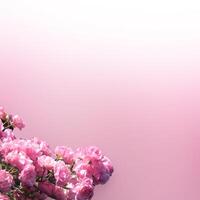 bellissimo rosa rosa fiori sfondo foto