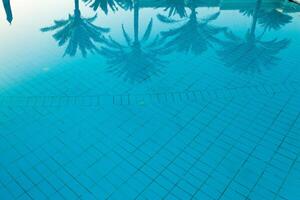 Noce di cocco palma albero riflessione su il nuoto piscina foto